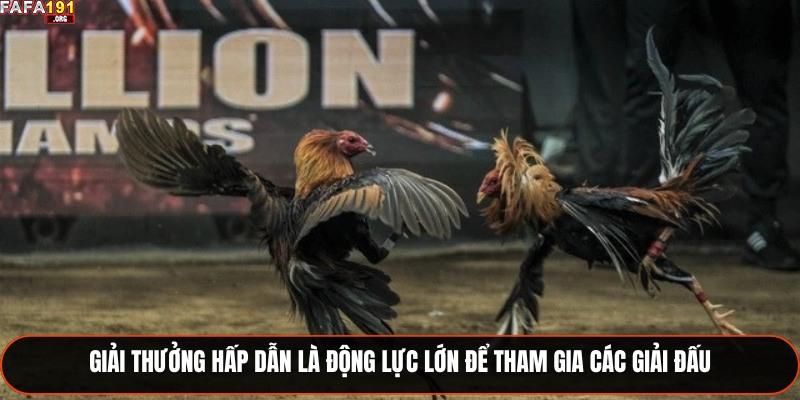 App Đá Gà Online – Kênh Giải Trí Và Cá Cược Đáng Tin Cậy 2 Giải thưởng hấp dẫn là động lực lớn để tham gia các giải đấu