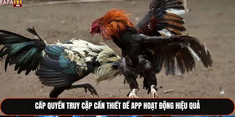 App Đá Gà Online – Kênh Giải Trí Và Cá Cược Đáng Tin Cậy 3 Cấp quyền truy cập cần thiết để app hoạt động hiệu quả