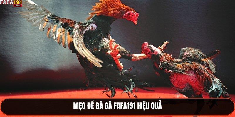Đá Gà Cựa Sắt Fafa191 - Môn Chơi Kịch Tính 2025 3 Mẹo để đá gà Fafa191 hiệu quả