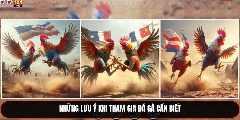 Những lưu ý khi tham gia đá gà cần biết