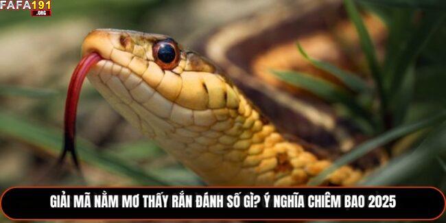 nằm mơ thấy rắn đánh số gì