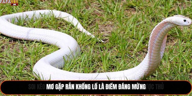 Giải Mã Nằm Mơ Thấy Rắn Đánh Số Gì? Ý Nghĩa Chiêm Bao 2025 1 Mơ gặp rắn khổng lồ là điềm đáng mừng